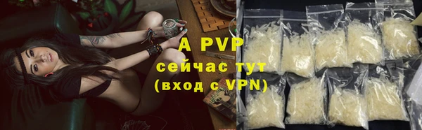 a pvp Алзамай